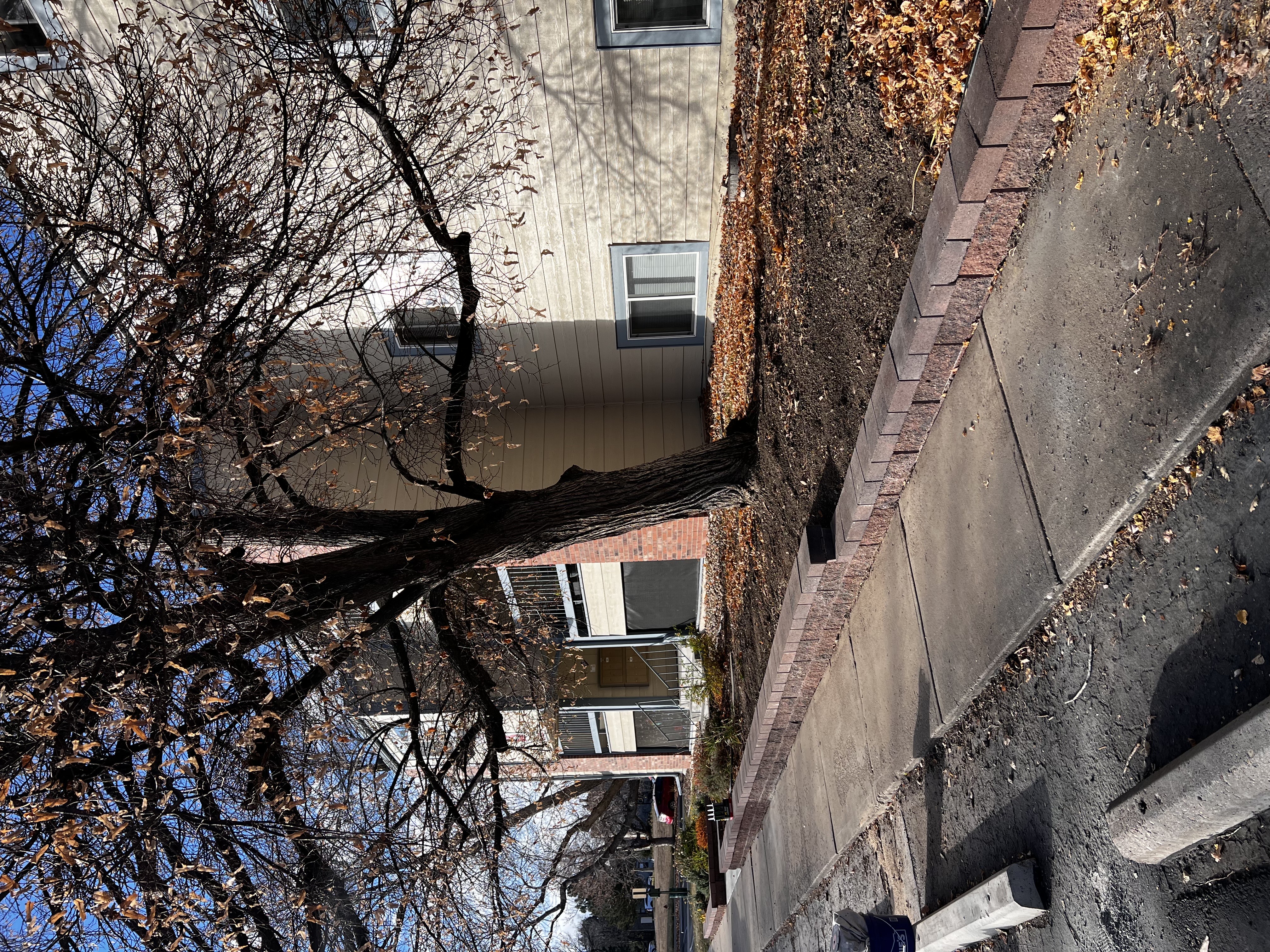 Custom retaining wall installation by Flora Landscaping